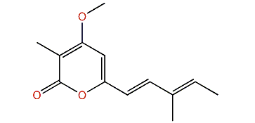 Cyercene 1